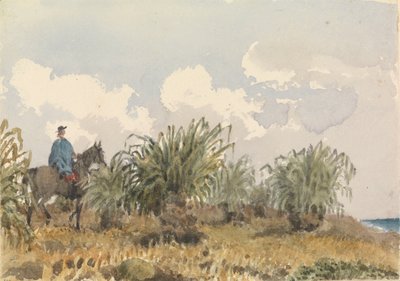 Herbe de Tussac, Îles Falkland - Admiral Sir Edward Gennys Fanshawe