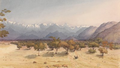 À deux lieues de Santa Rosa [Chili], 14 janvier 1851 [avec les Andes et l