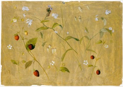 Fraises et myosotis - Adolf Senff