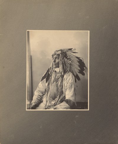 Tuer le cheval tacheté, Assiniboines - Adolph F. Muhr
