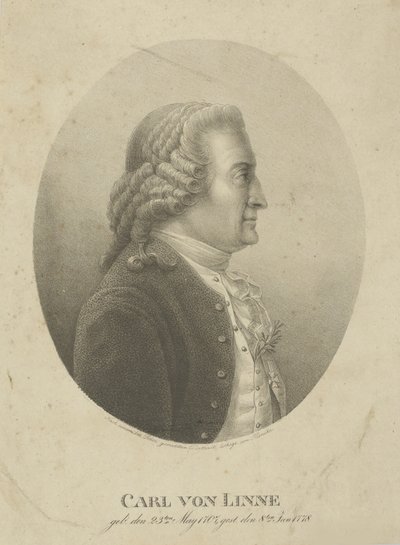 Portrait de Carl Linnaeus - Adolph Friedrich Kunike