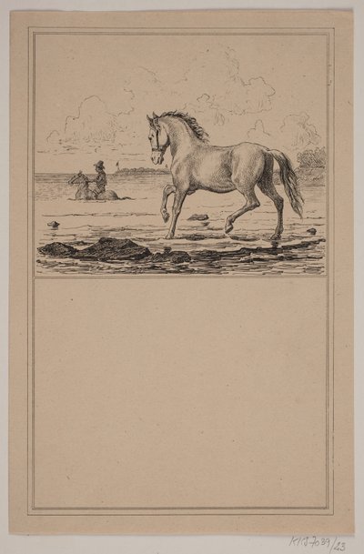 Le cheval dans l