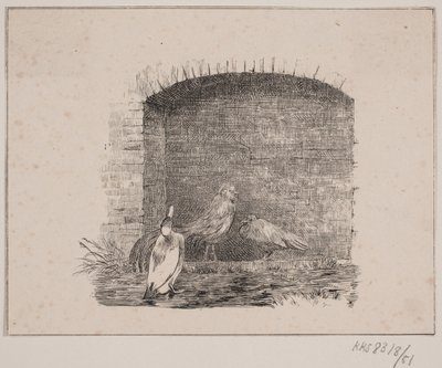 Les poules et les canards - Johan Adolph Kittendorff