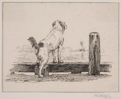 Le chien sur la plage - Johan Adolph Kittendorff