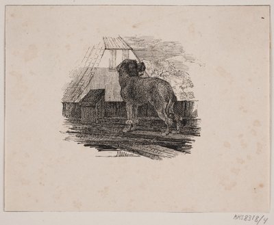 Le caniche - Johan Adolph Kittendorff