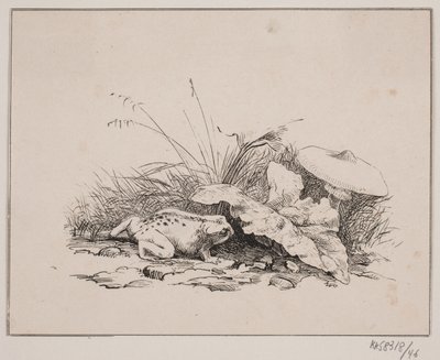 Le crapaud - Johan Adolph Kittendorff