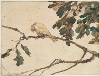 Canari sur une branche de chêne - Adolph Menzel