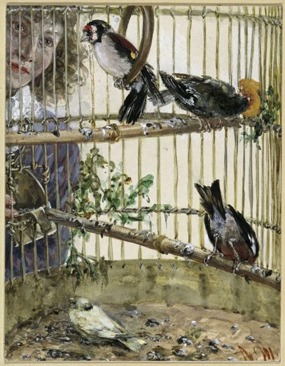Les chardonnerets et le canari chez Bauer. Extrait de « L
