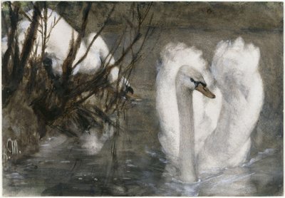 Les deux cygnes. De l
