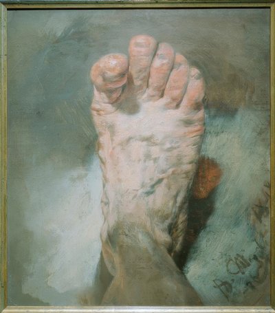 Le pied de l