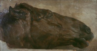 Étude de cheval. Tête de profil à droite - Adolph Menzel