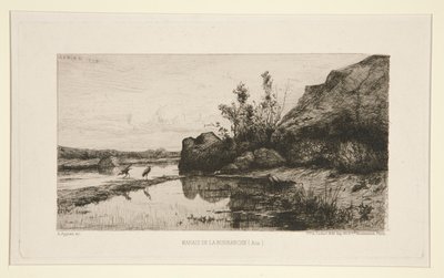 Marais de la Burbanche (Ain) - Adolphe Appian