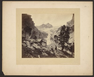 [Vue alpine depuis le Faulhorn] - Adolphe Braun
