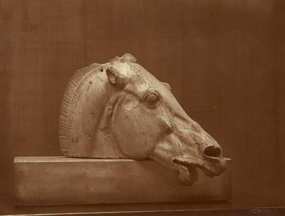 [Tête de cheval provenant du fronton du Parthénon, British Museum] - Adolphe Braun