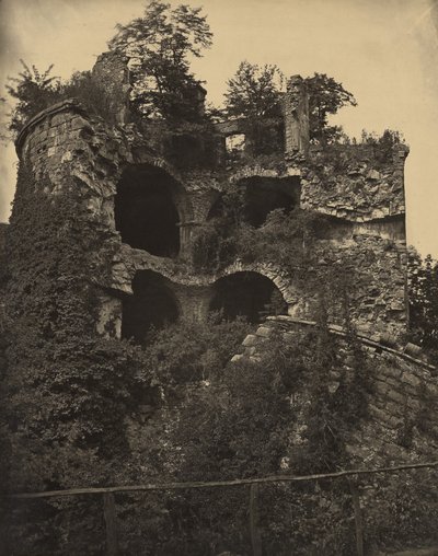 [Château de Heidelberg] - Adolphe Braun
