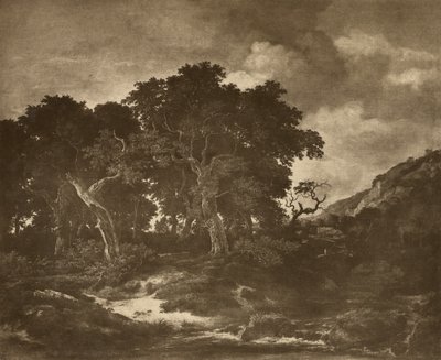 Peinture de paysage de Ruysdael - Adolphe Braun