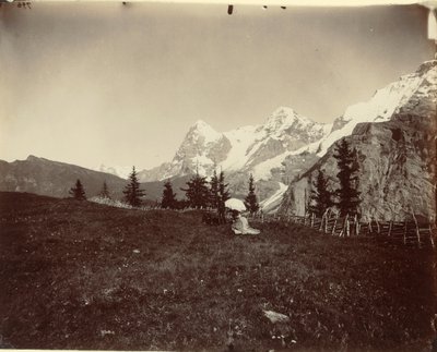 Paysage, Suisse - Adolphe Braun