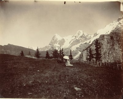 Paysage, Suisse, vers 1860 - Adolphe Braun
