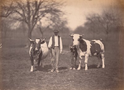Paysage,c. 1864 (photo) - Adolphe Braun