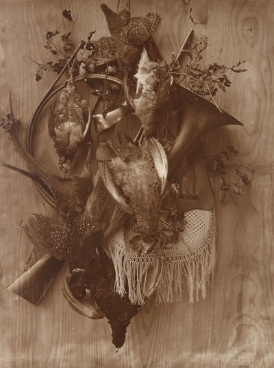 Faisan et Grouse, vers 1865 - Adolphe Braun