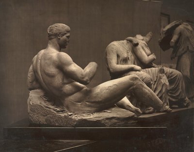 Sculptures du Parthénon, British Museum, vers 1870s - Adolphe Braun