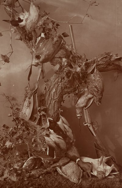 [Still Life : Dead Game] - Adolphe Braun