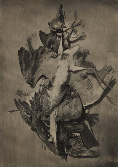 [Nature morte représentant du gibier] - Adolphe Braun