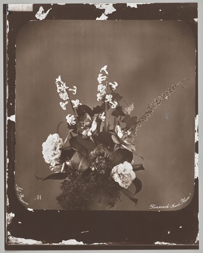 Sans titre (arrangement floral) - Adolphe Braun