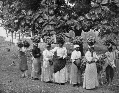 Porteurs de Bananes, Jamaïque - Adolphe Duperly and Son