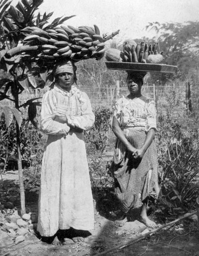 Vendeurs de fruits, Jamaïque, vers 1905 - Adolphe Duperly and Son