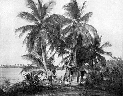 Sur la route de Blue Hole, Port Antonio, Jamaïque, vers 1905 - Adolphe Duperly and Son