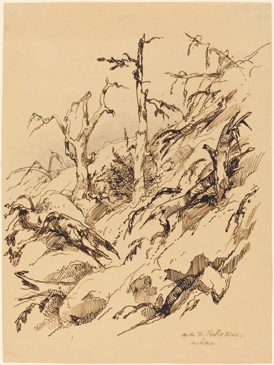 Une colline rocheuse avec des arbres morts et mourants - Adolphe Etienne Viollet Le Duc II