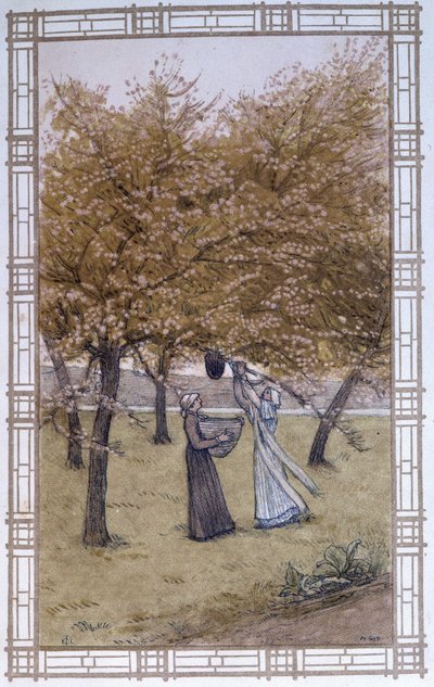 Vie des abeilles : la ruche d