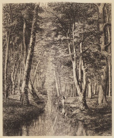 Rivière sous bois - Adolphe Martial Potemont