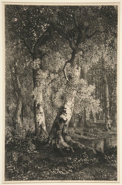Les hêtres - Adolphe Martial Potemont