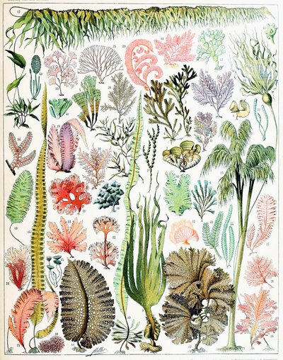Illustration d