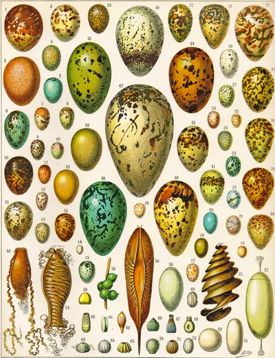 Illustration d