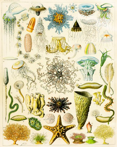 Illustration d