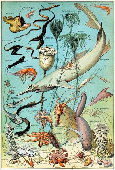 Illustration d
