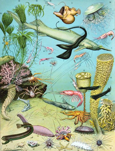 Illustration d