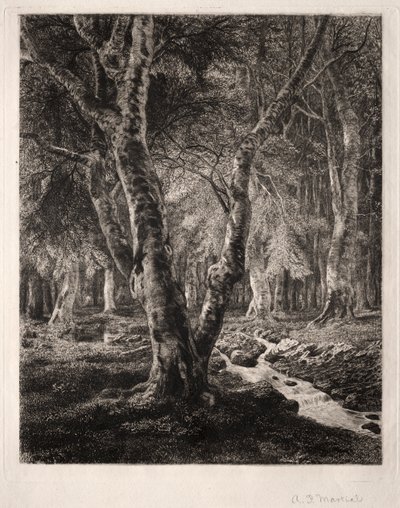 Forêt de Pierrefonds - Adolphe Théodore Jules Martial Potémont