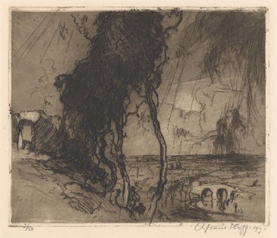 Paysage avec ciel orageux - Adriaan J. van 