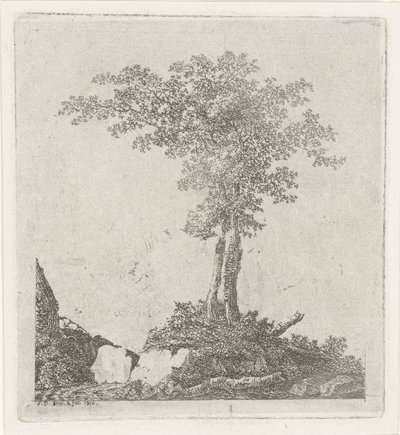 Deux arbres - Adriaan Jacob Willem van Dielen