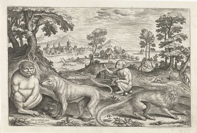 Singes - Adriaen Collaert