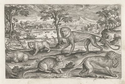 Singes et chats - Adriaen Collaert