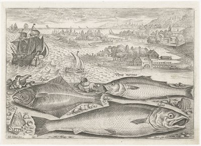 Trois poissons sur la plage - Adriaen Collaert
