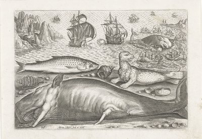 Un mulet, un lion de mer et une baleine sur la plage - Adriaen Collaert