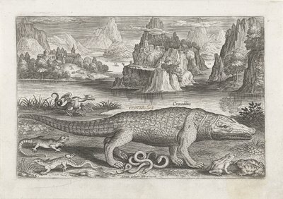Quelques reptiles et amphibiens sur une rive (Vissen, Piscivm vivae icones) - Adriaen Collaert