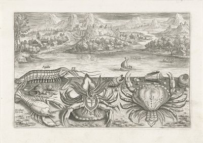 Quelques crustacés sur la plage - Adriaen Collaert