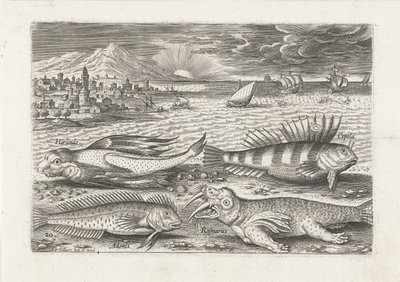 Quelques poissons et un morse sur la plage (Piscivm vivae icones) - Adriaen Collaert